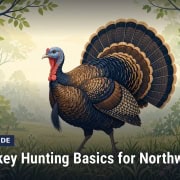 Fostoria News: Illustration, with headline: Ohio Turkey Hunting Basics for Northwest Ohio